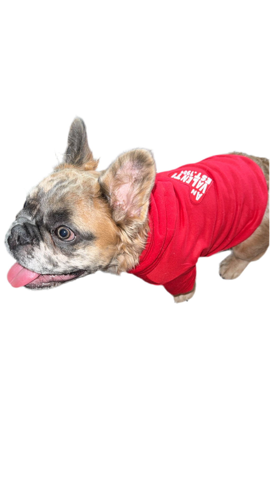 An Valenti “Frenchie” Hoodie