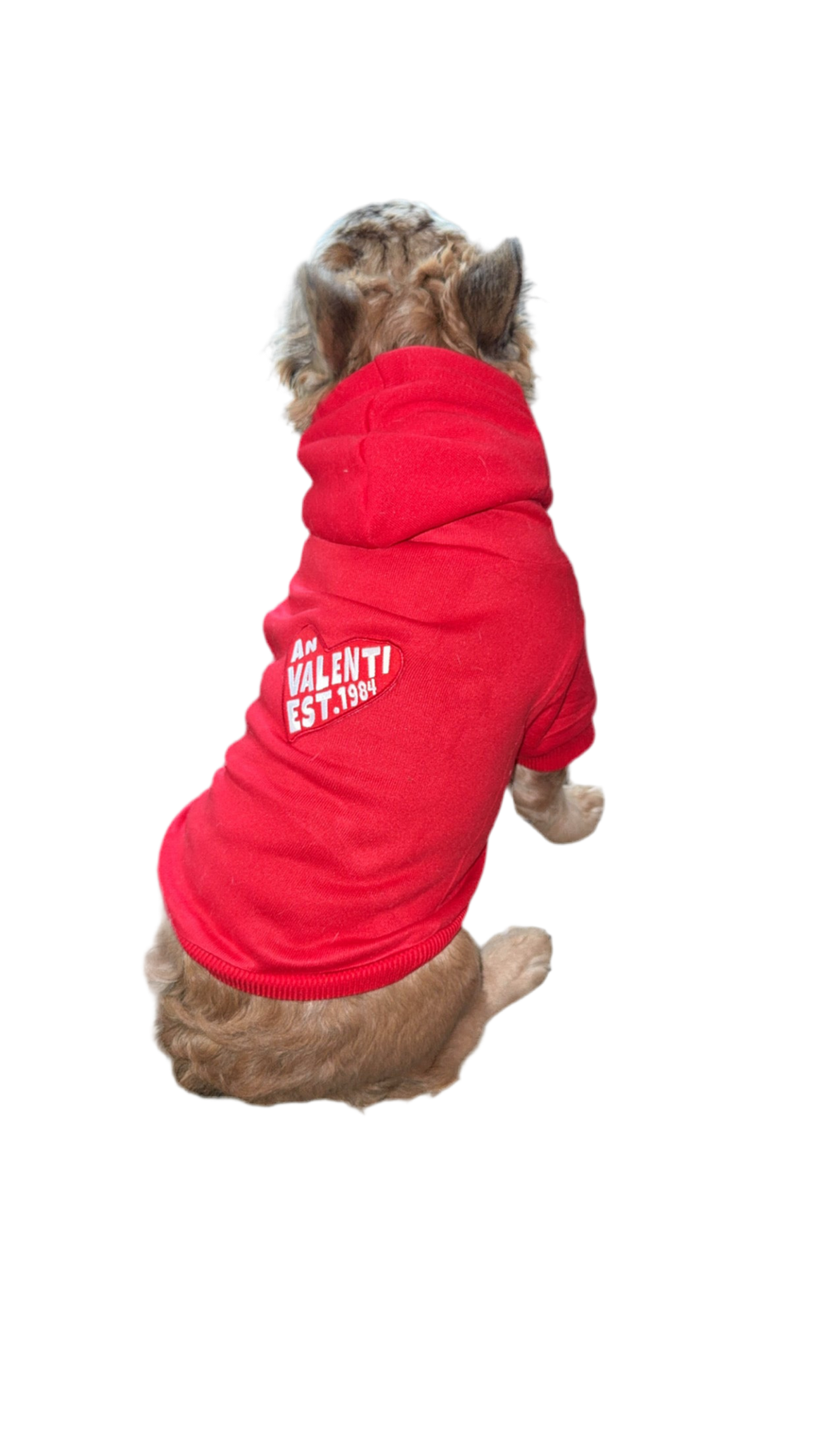 An Valenti “Frenchie” Hoodie