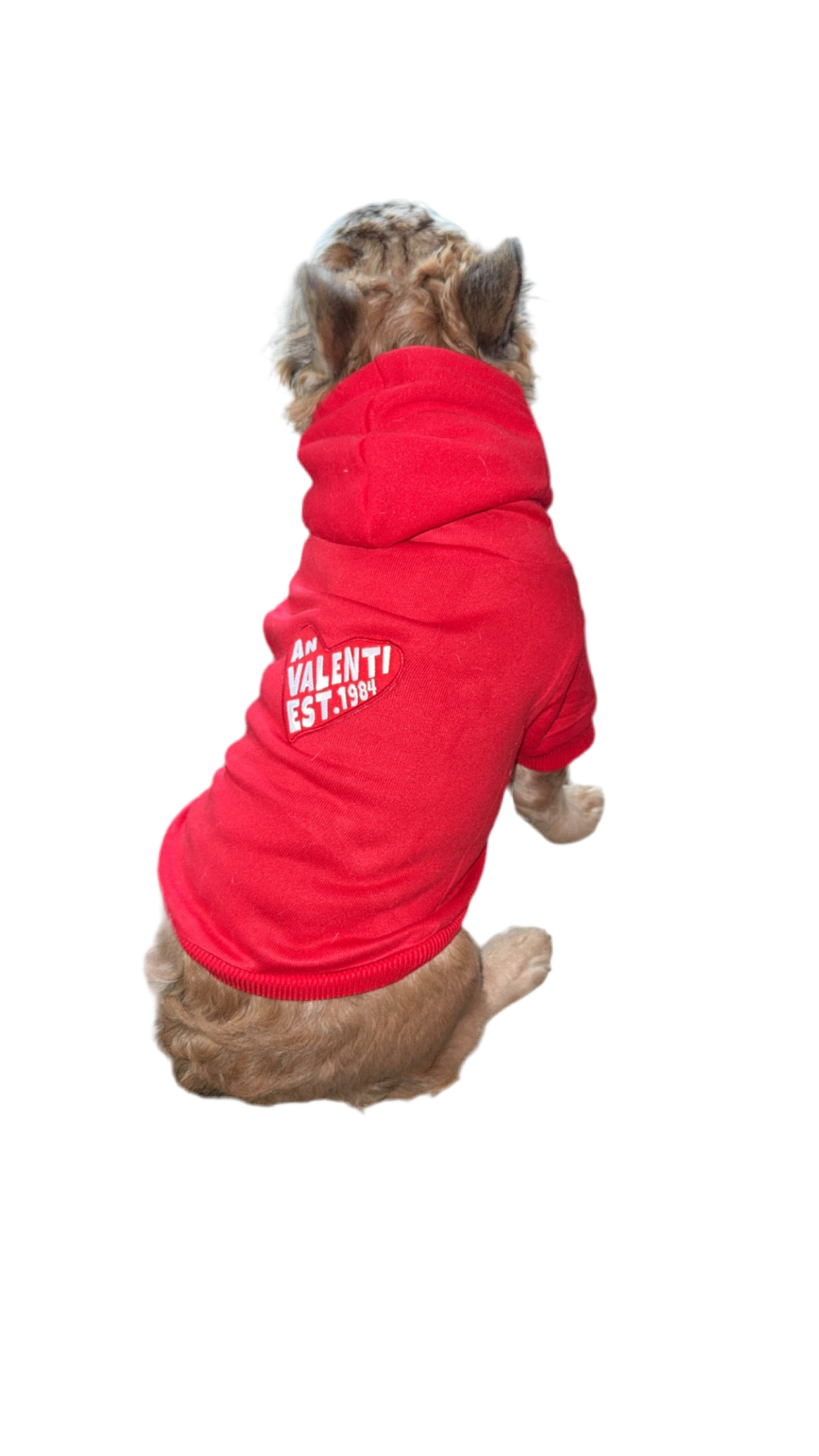 An Valenti “Frenchie” Hoodie