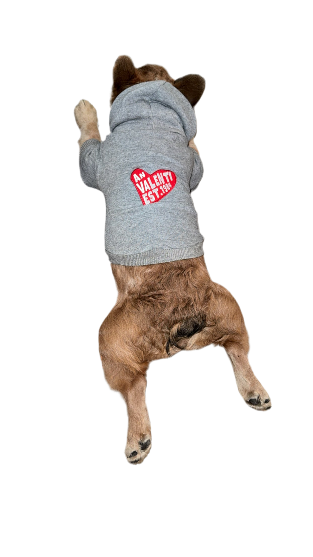 An Valenti “Frenchie” Hoodie