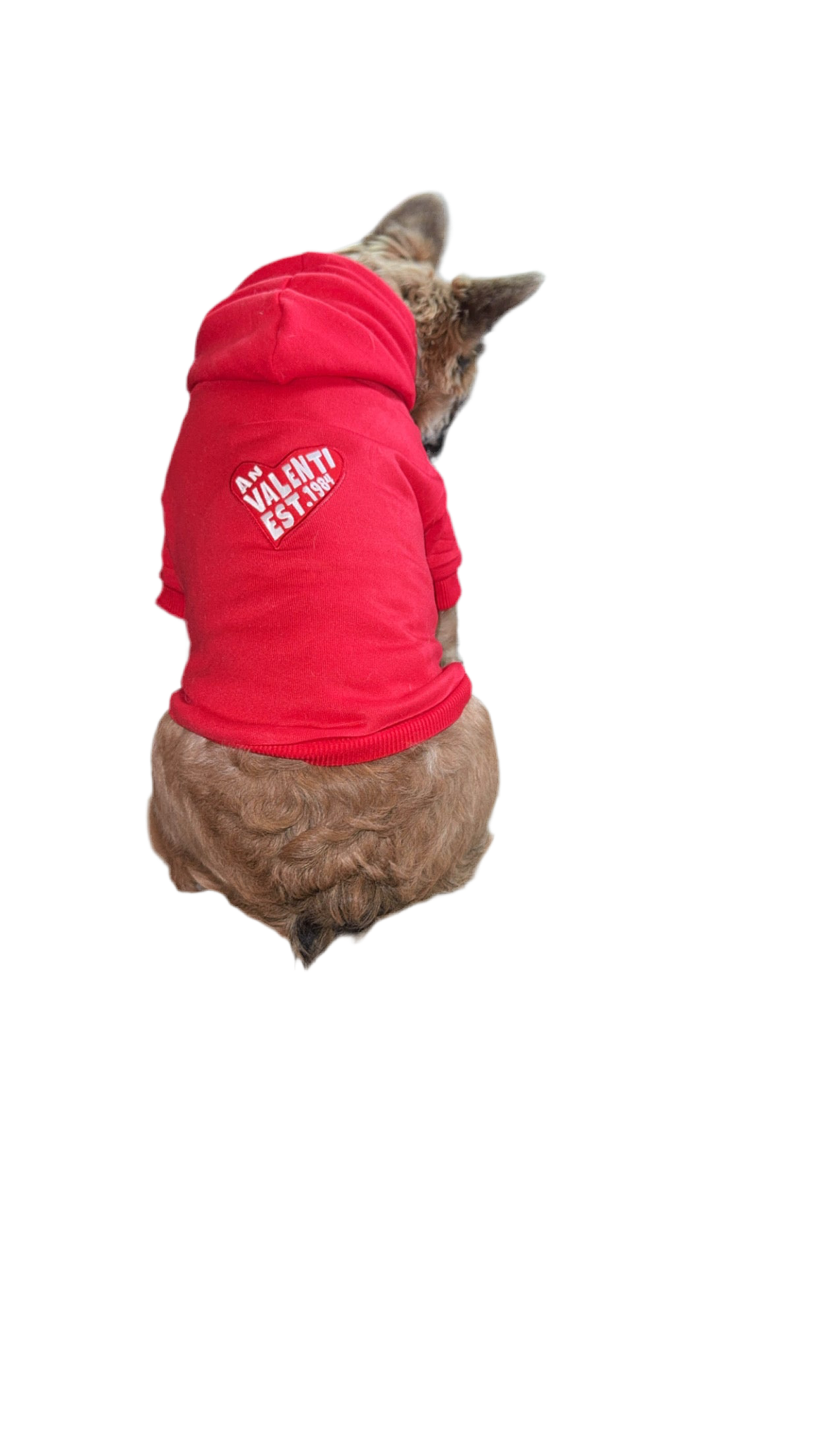 An Valenti “Frenchie” Hoodie